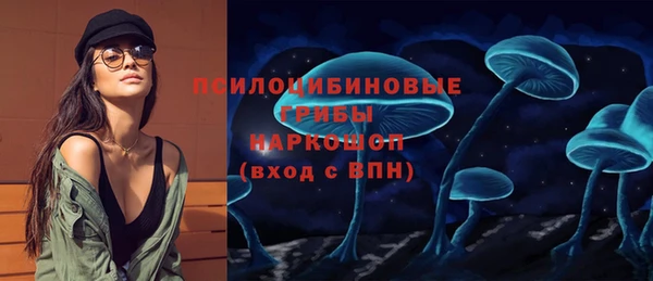 СК Абаза