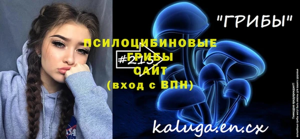 тгк Абинск