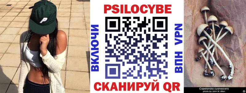 Псилоцибиновые грибы MAGIC MUSHROOMS  ОМГ ОМГ ссылка  Суздаль  купить  
